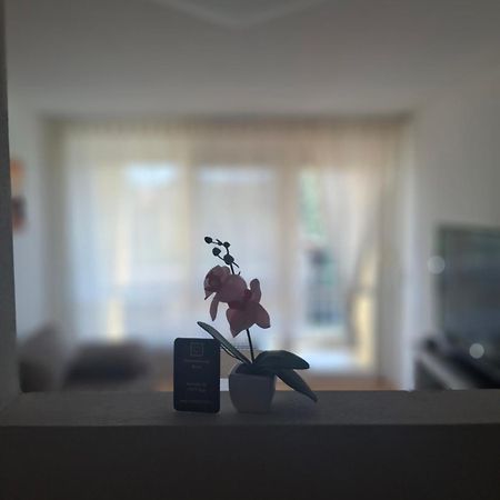 Ferienwohnung Shirin 鲁斯特 外观 照片