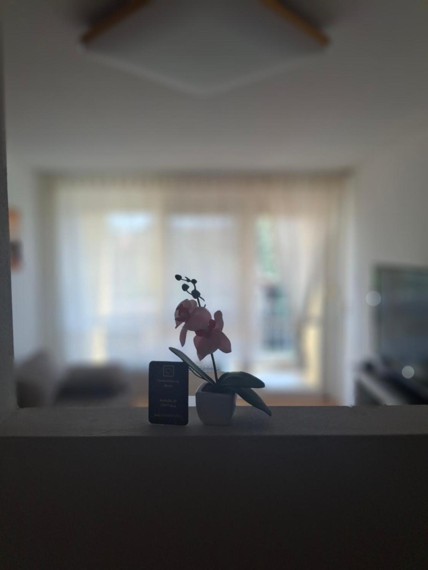 Ferienwohnung Shirin 鲁斯特 外观 照片